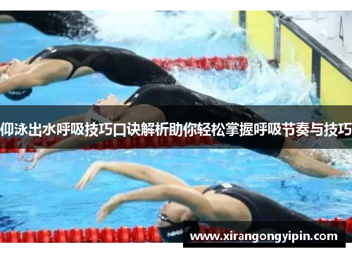 仰泳出水呼吸技巧口诀解析助你轻松掌握呼吸节奏与技巧