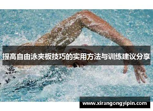 提高自由泳夹板技巧的实用方法与训练建议分享