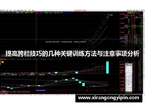 提高跨栏技巧的几种关键训练方法与注意事项分析