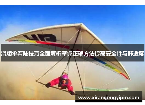 滑翔伞着陆技巧全面解析掌握正确方法提高安全性与舒适度